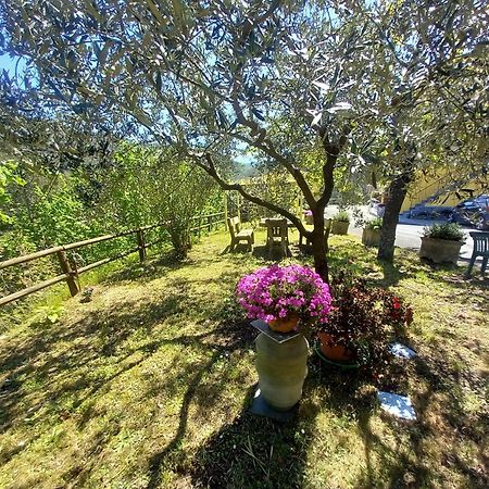 Hotel Il Giardino Dei Pavoni Soviore Zewnętrze zdjęcie
