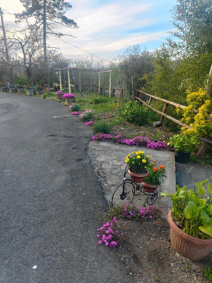 Hotel Il Giardino Dei Pavoni Soviore Zewnętrze zdjęcie